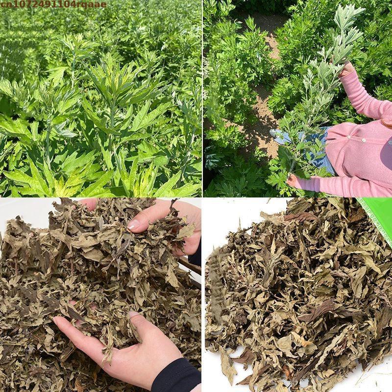 100% Natural Dried Ay Tsao Lea - огляд і ціна Chamomile Tea
